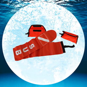 DSMB (CIGAR) CLASSIC WITH STRING